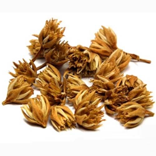 Natural Dried Mimusops elengi