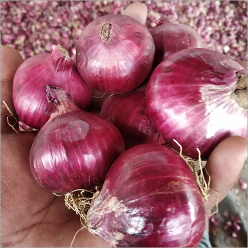 Natural Bangalore Rose Onion