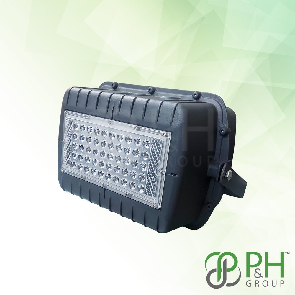 80w Solar Flood Light System - Kent Model