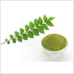 Dried Curry Leaves Powder