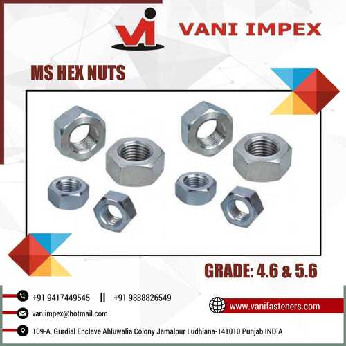 Hex Nuts