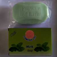 Mint Soap