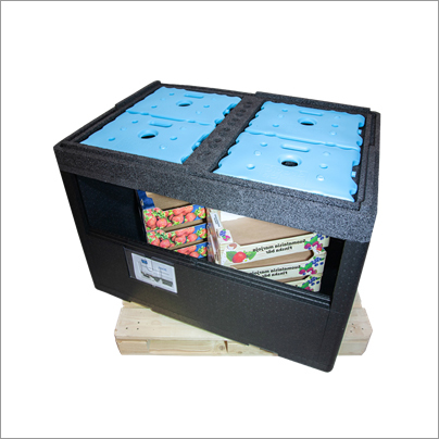 Black Pallet Thermo Cold Box
