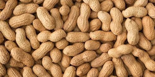 Organic Raw Peanut(Groundnut)
