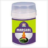 Marshal