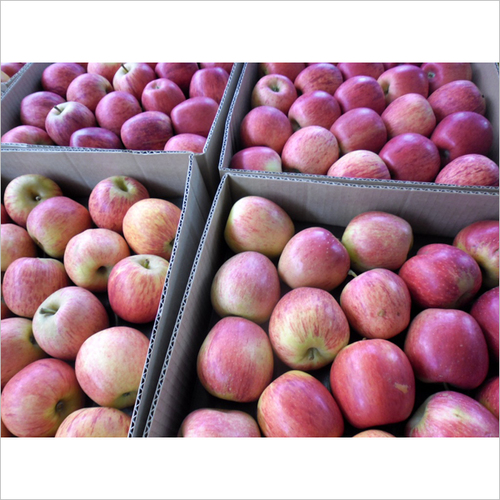 Fuji Apples By AGROSA GLOBAL HOLDINGS PTY LTD