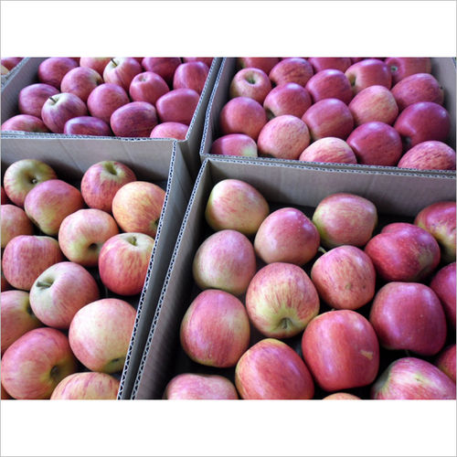 Fuji Apples