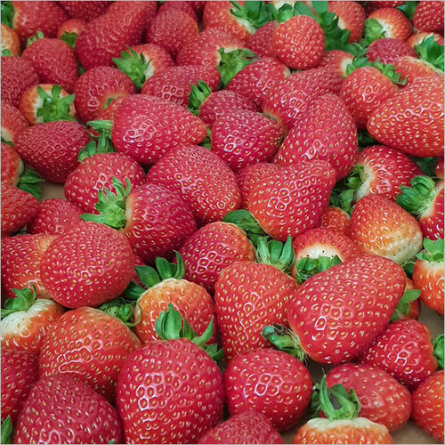 Fresh Strawberry