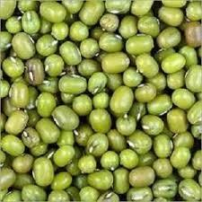 Green Lentils