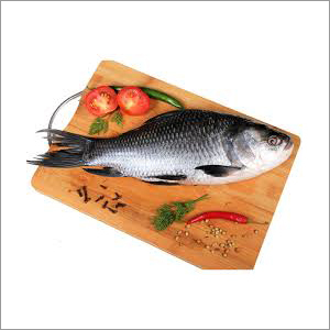 Block Rohu Fish