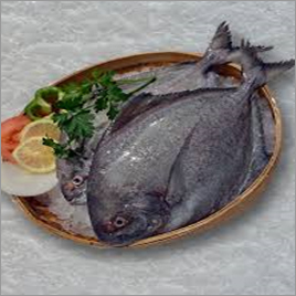 Block Black Pomfret