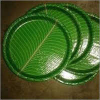 Disposable Green Buffet Plate
