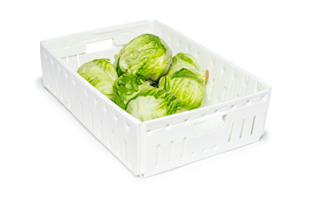 Pp Corrugated Fruit Box