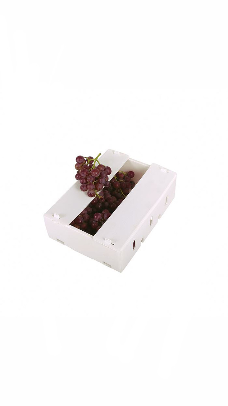 Pp Corrugated Fruit Box