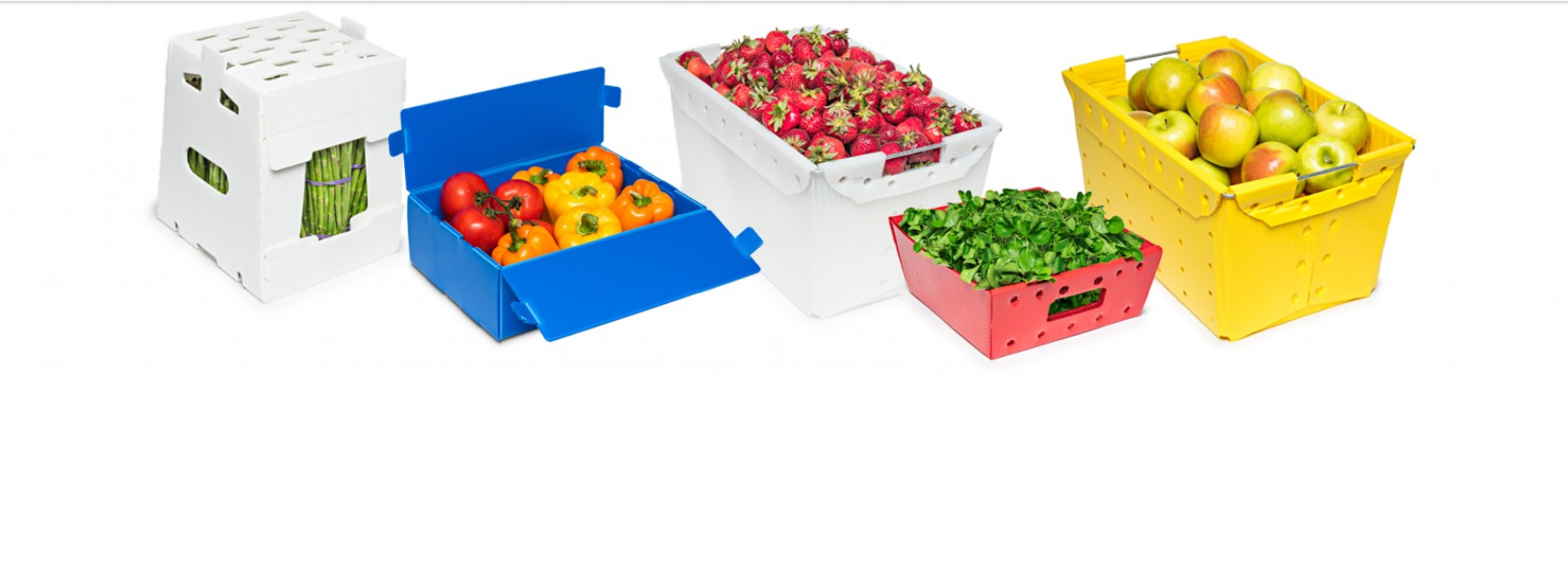 Pp Corrugated Fruit Box
