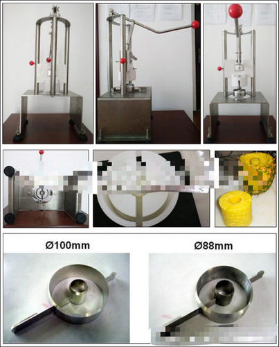 Manual Pineapple peeler cutter