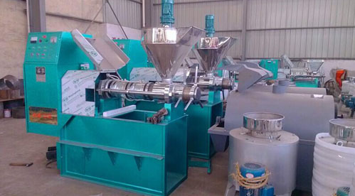 D-80  Industrial Peanut Oil Cold Press Machine