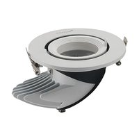 LED Universal Ceiling Light