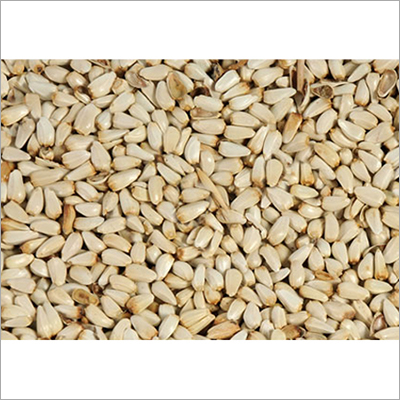 Pure Safflower Seed By SHENZHEN GLOBAL TRADING CO LTD