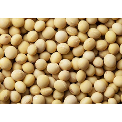 Pure Soybean