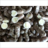 Fresh White Turmeric - Raw Herbal Grade, White Color | Anti-acne, Antimicrobial, Anti-inflammatory, And Digestive Aid Properties