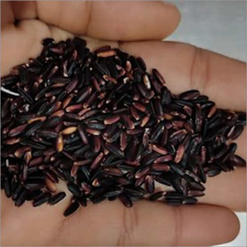 Fresh Black Rice