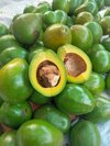 Avocado - Organic, Creamy Texture, Nutrient-rich Flavor | Sustainably Grown, Perfect For Smoothies And Salads