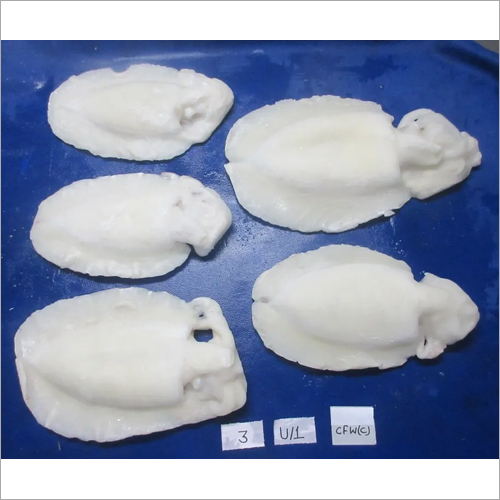 Seawhite Fish