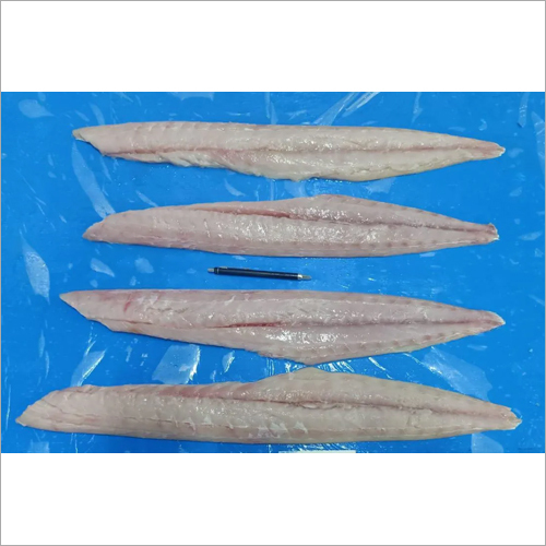 Ribbon Fish - Ribbon Fish Manufacturers, Suppliers & Dealers