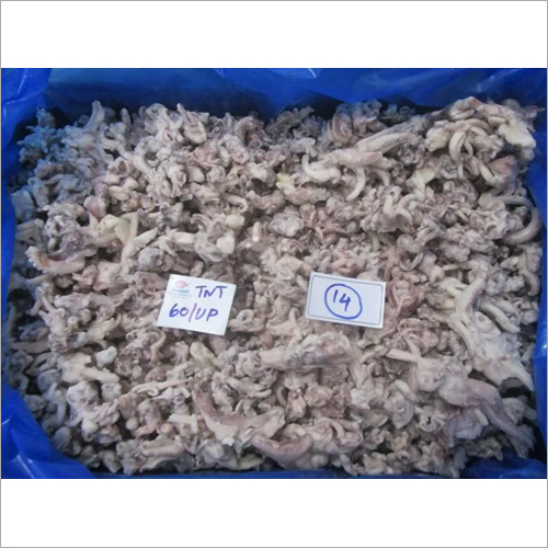 Squid Tentacles
