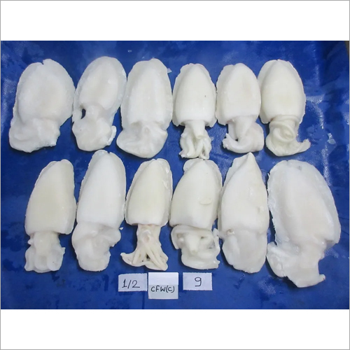 Fresh Seawhite Fish