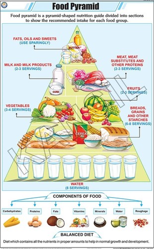 Food Pyramid Chart