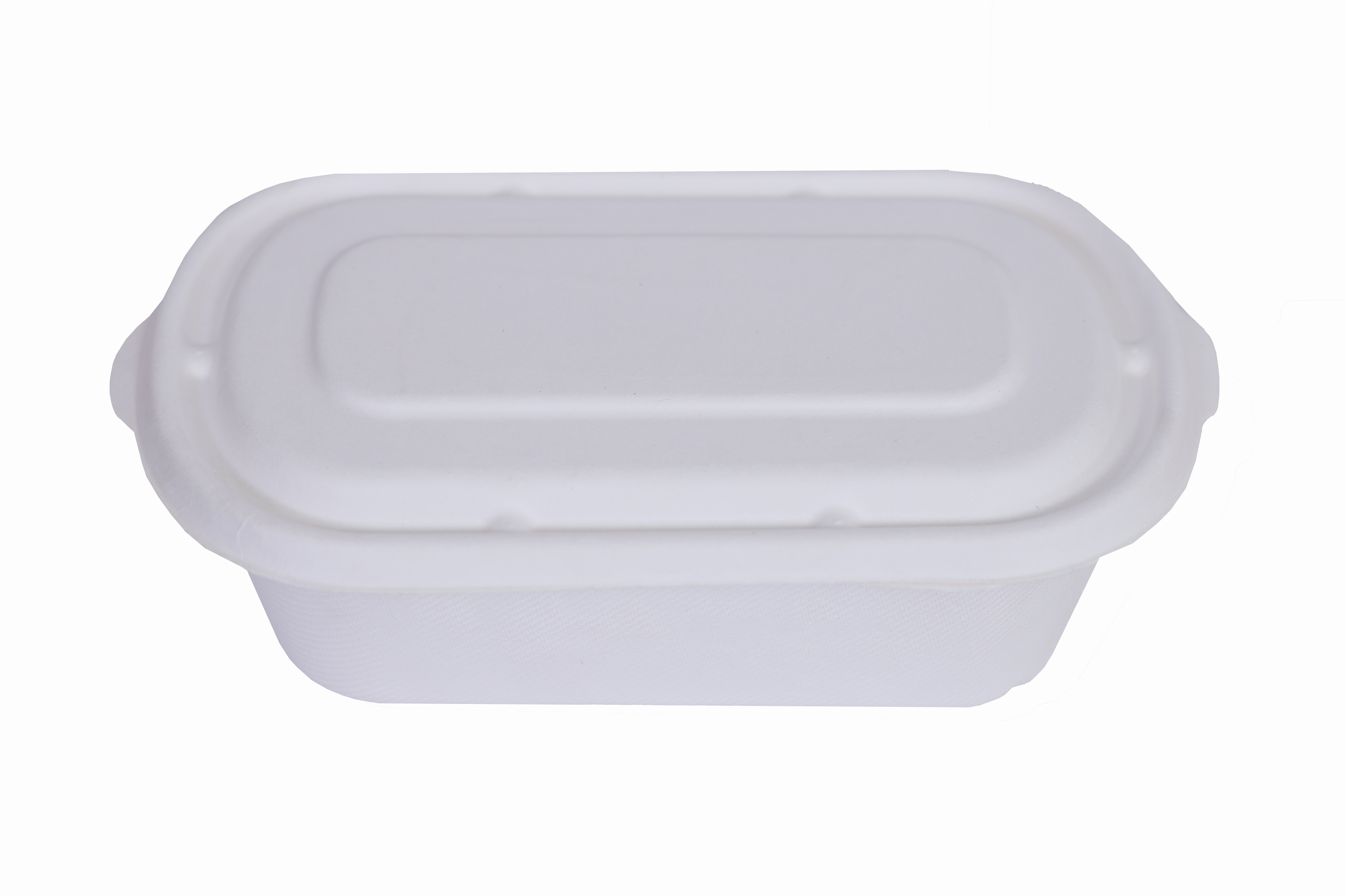 baggase food container with lid
