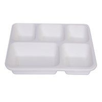 bagasse meal tray