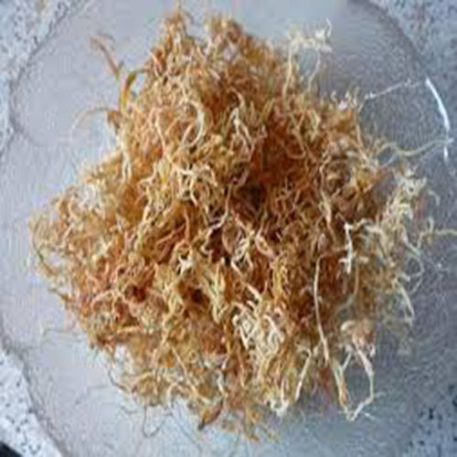 White Raw Dried Papaya Noodles