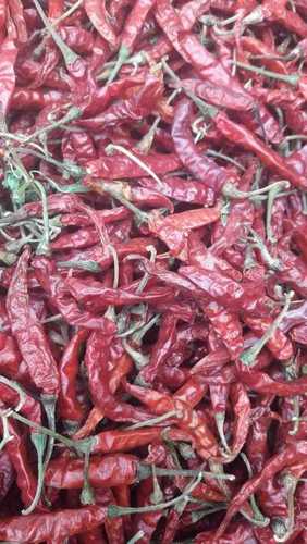 indian dried red chilli