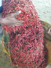 indian dried red chilli