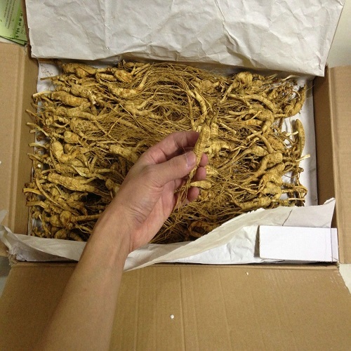 Top Quality/100% Natural 10-15 Years Wild Ginseng/insam/ninjin Root Gift