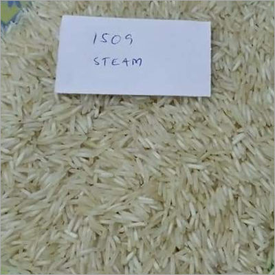 1509 Steam Rice