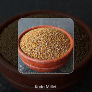 Kodo Millets