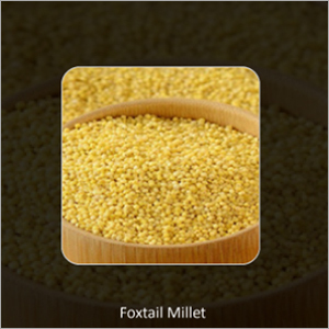 Foxtail Millets By BSN EXPORTS