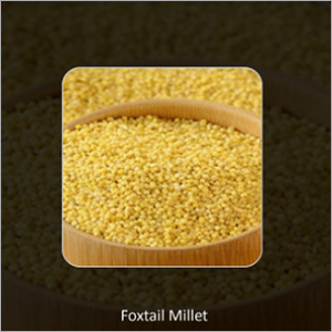 Foxtail Millets