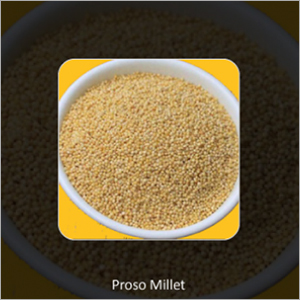 Proso Millets