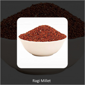 Ragi Millets