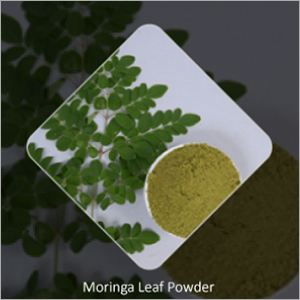 Moringa Leaf Powder