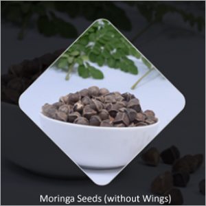 Moringa Seeds (Without Wings)
