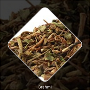Brahmi