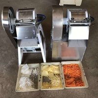 CH-200 Cheap Multifunction Vegetable Chopper Machine