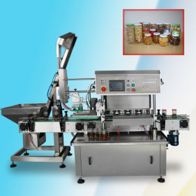 Stainless Steel Automatic Glass Bottle Tin Can Capping Cap Sealing Machine