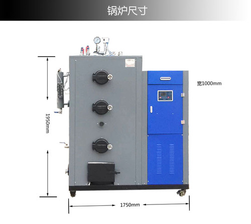 300kg Biomass Steam Generation Machine Steam Boiler